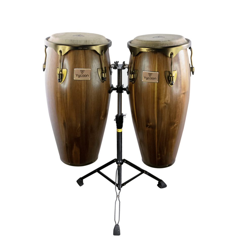 CONGAS 10-11 BROAD ACACIA CON STAND TYCOON STCS-DG BA/D