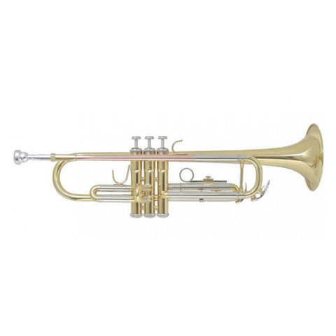 Trompeta Bach Tr655dir
