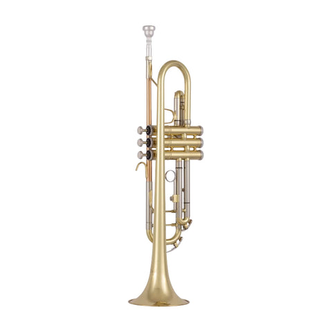 Trompeta Student Bach Btr212