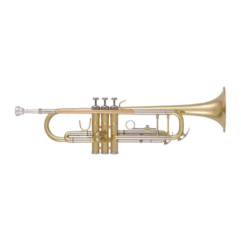 Trompeta Student Bach Btr212