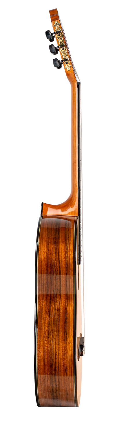 Guitarra Clásica Valencia Vc564