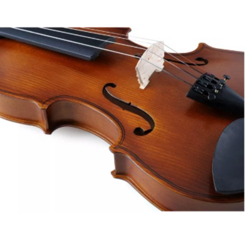 Violin Estudiante Principiante 4/4 Mate Verona Vg001 Con Accesorios