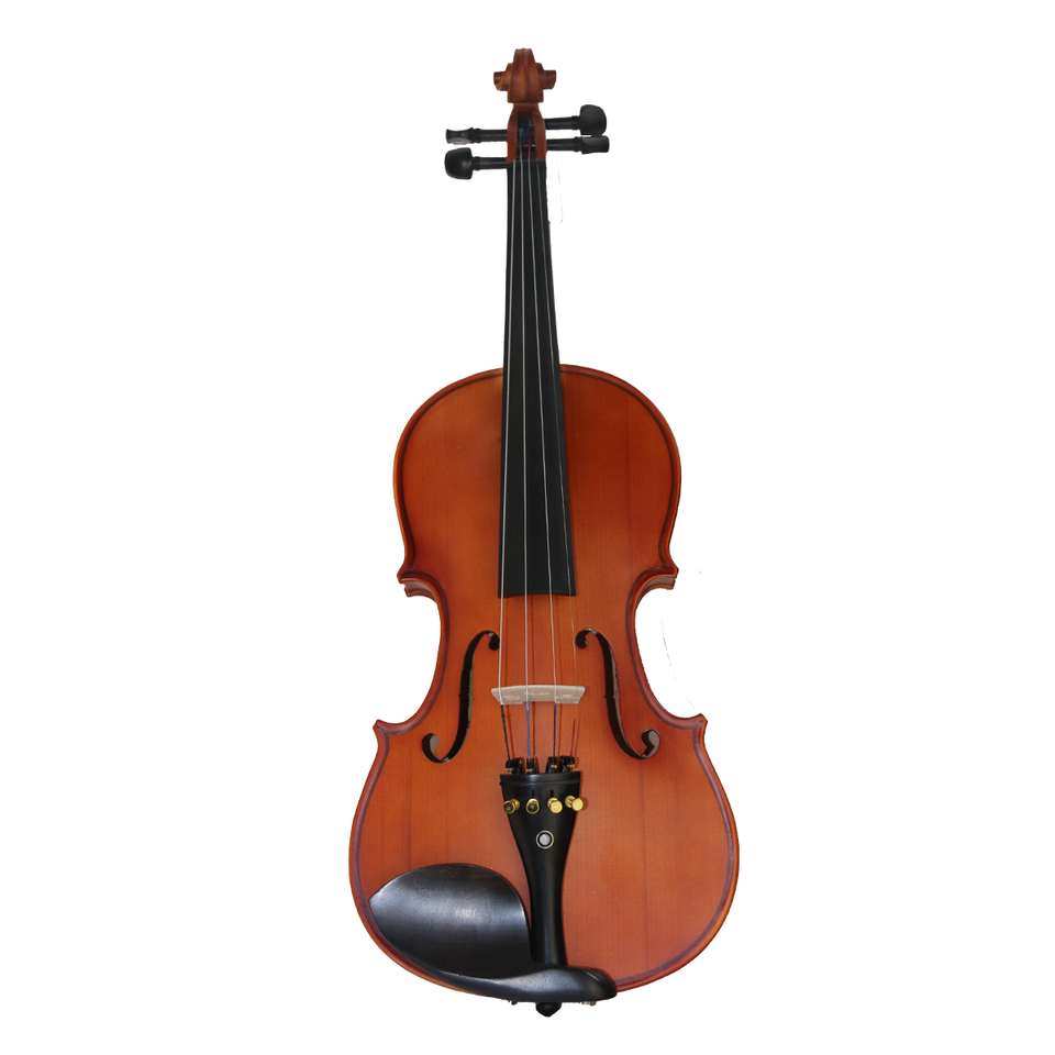 Ebony violin deals