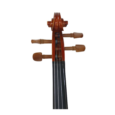 VIOLIN 4/4 SOLIDO ACCESORIOS EN ARCE VERONA