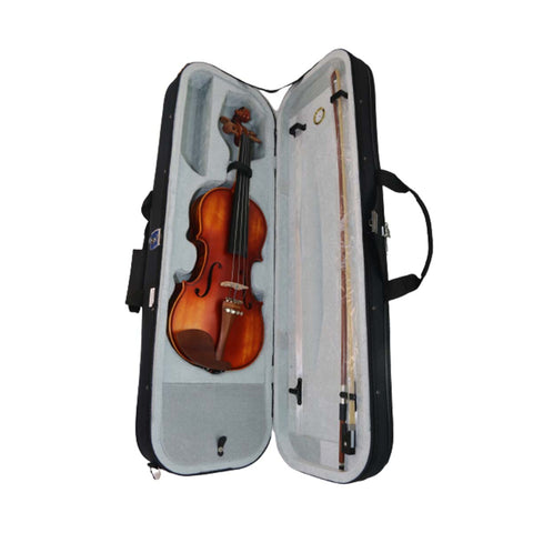 VIOLIN 4/4 SOLIDO ACCESORIOS EN ARCE VERONA