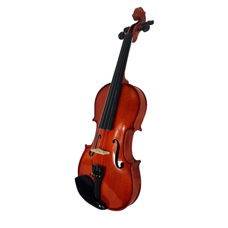 VIOLIN 4/4 SOLIDO AILEEN OUTFIT DIAPASON Y PARTES EBANO VG103