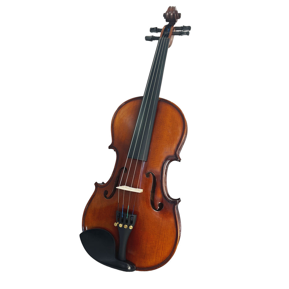 VIOLIN 4/4 SOLIDO VERONA DIAPASÓN Y PARTES EBANO,FIBRA CARBONO VM100