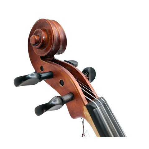 Violín Estudiante Intermedio Espalda Solida Gliga Gems 2 -I-V044-O