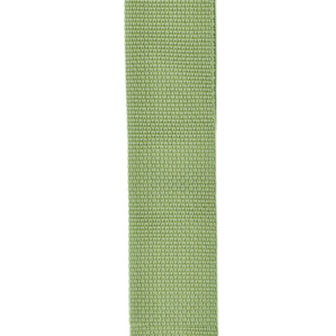 Correa Para Guitarra Eléctrica Polipropileno Verde Pws107 Daddario