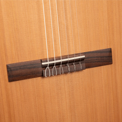 ALHAMBRA ELECTROACOUSTIC GUITAR Z-NATURE NYLON STRINGS 
