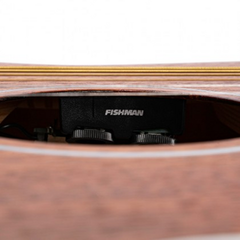 CORT AF590MF ELECTROACOUSTIC GUITAR / OPEN PORE / MAHOGANY