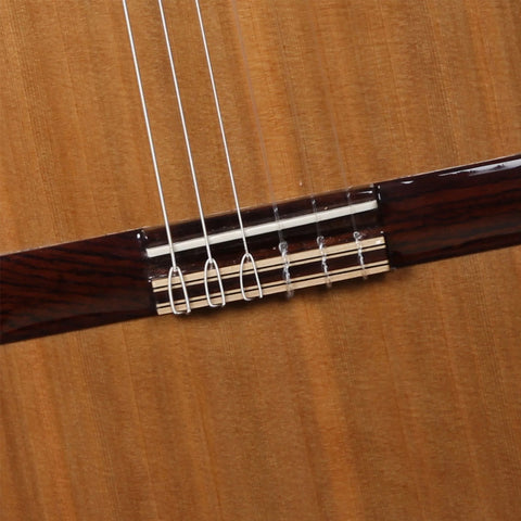 CLASSICAL GUITAR ALHAMBRA IBERIA ZIRICOTE