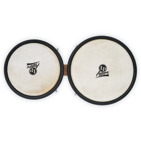 Bongo Lp Aspire Natural LPA601-AW
