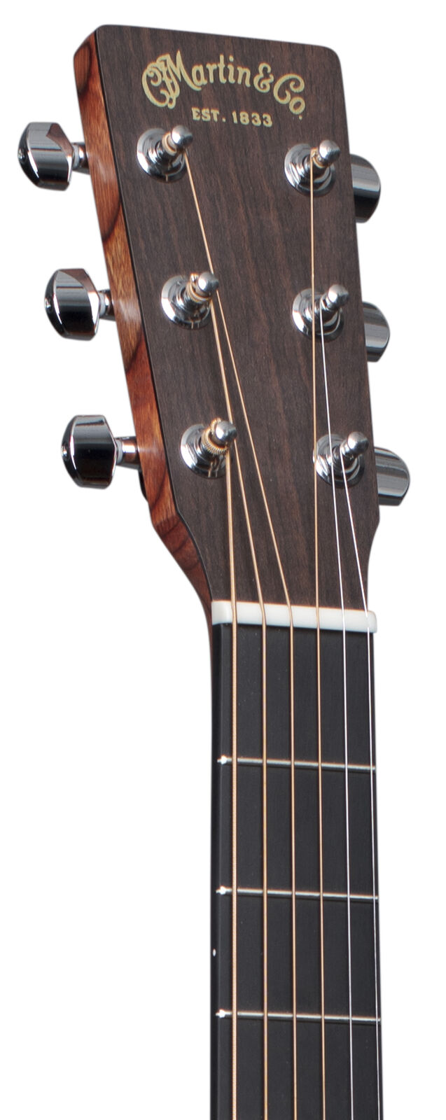 MARTIN ELECTROACOUSTIC GUITAR STEEL STRINGS 0X1E-01 WITH CASE