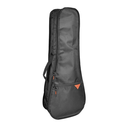 CASE TYPE CASE FOR CNB BARITONE UKULELE.