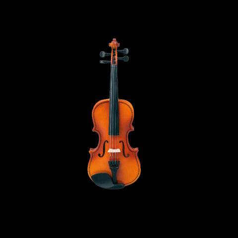 (D) (R-25) VIOLIN 1/8 VERONA MATT LAMINATE