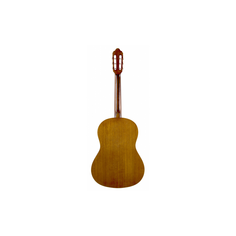 Acoustic guitar best sale with narrow neck